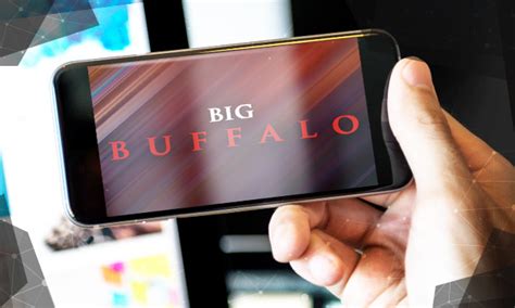 Big Buffalo Review 2024